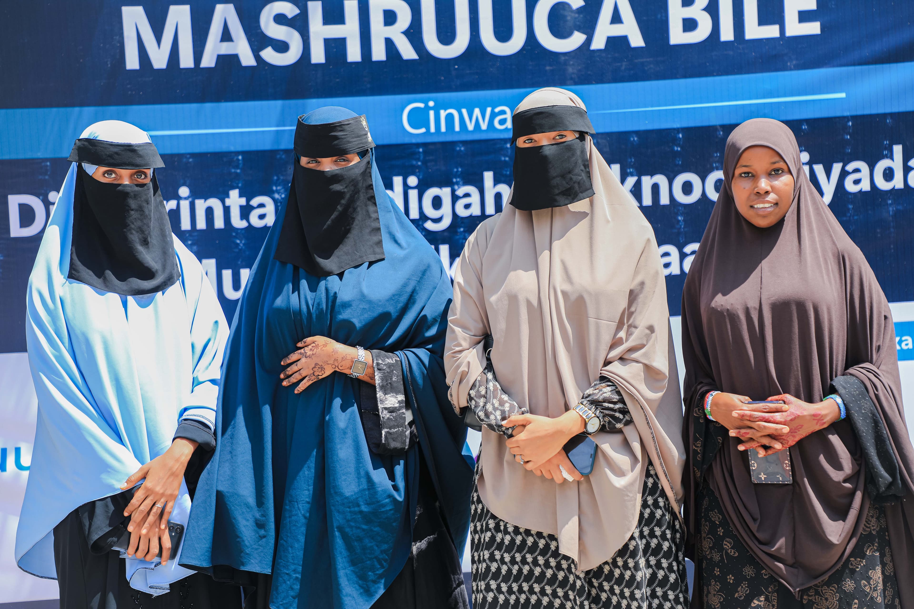Participants representing the Bile Initiative